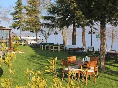 Tepedeki Çimenlik Sapanca