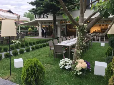 Sapanca Kırkpınar Lulus Cafe